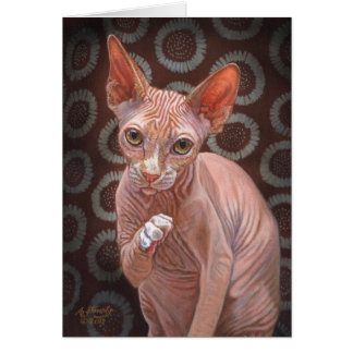 Chat Jack de sphinx de Sphynx