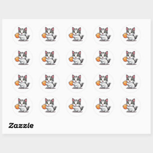 Chat jouant avec des stickers à billes