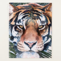 Chat Jungle - Tigre
