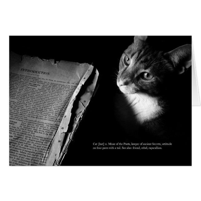 Chat [kat] (Devant Horizontal)