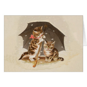 Chat Kitten chaton antique vintage jolie mignonne