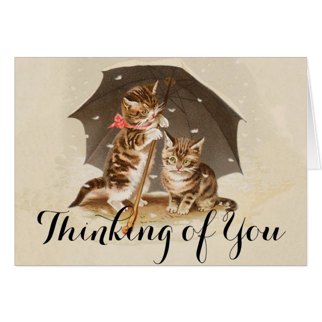 Chat Kitten chaton antique vintage jolie mignonne (Devant horizontal)