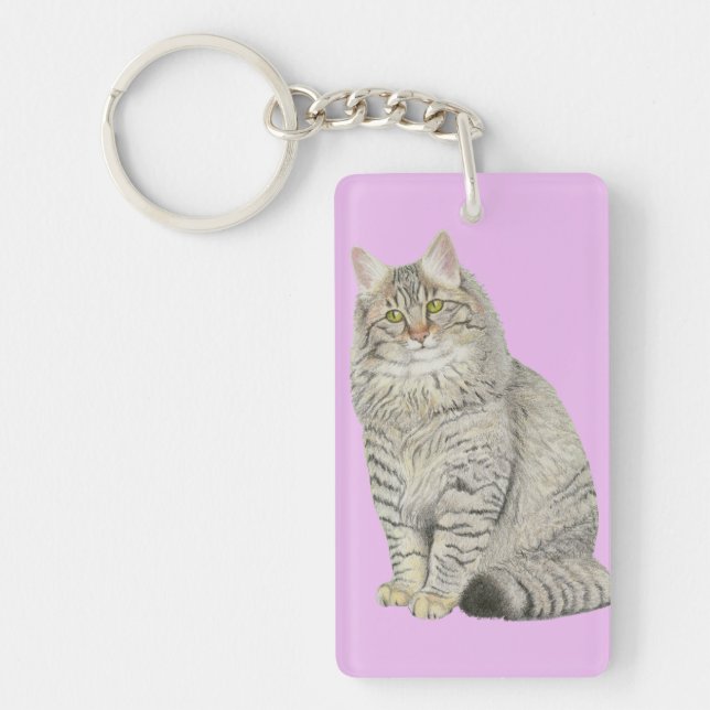 Chat Longhair Tabby (Devant)