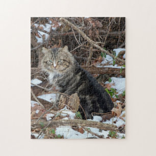 Chat Maine Coon dans la forêt Jeu de puzzle