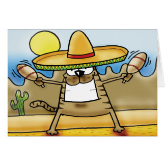 Chat mexicain de sombrero