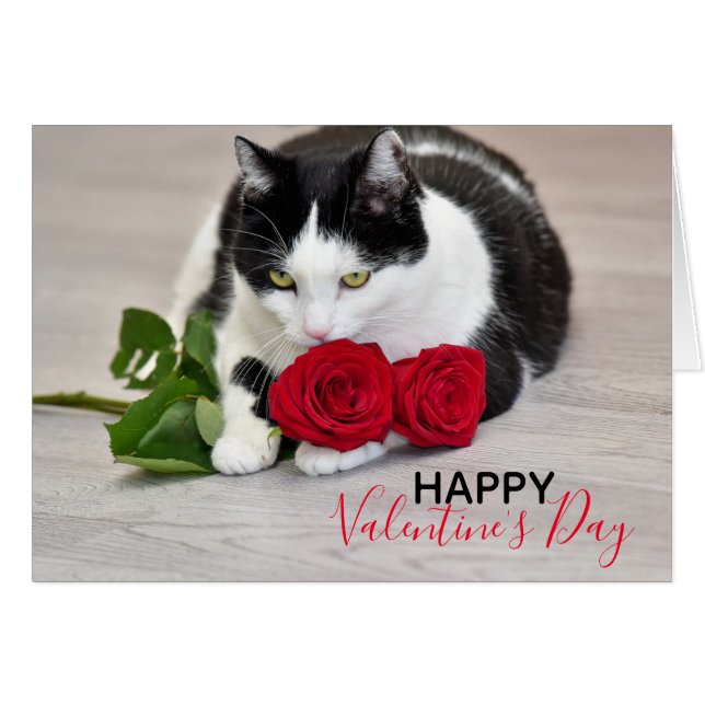 Chat mignon avec le rose rouge (Devant horizontal)