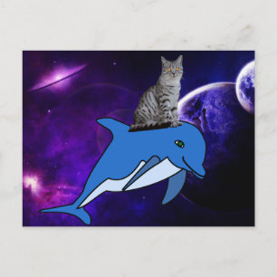 CHAT MONTER UN DOLPHIN DANS LA CARTE POSTALE SPACE