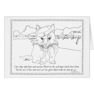 Chat nautique - Réglage de l'ensemble de vos voile