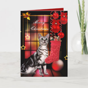 Chat Noël de la carte