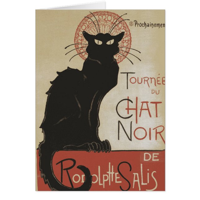 Chat Noir (Vorne)