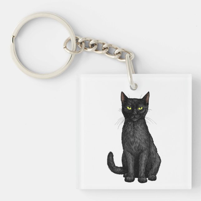 chat noir (Devant)