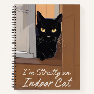 Chat noir au Journal de fenêtre