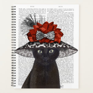 Chat noir avec Casquette fabuleux