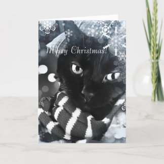 Chat noir avec la carte de Noël de flocons de
