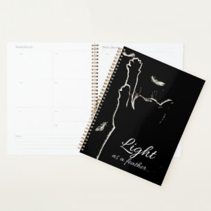 Chat noir blanc fluet