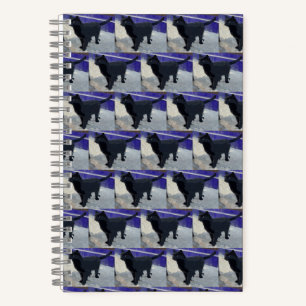 Chat noir Carnet spiral