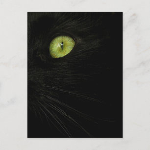 Chat noir, carte postale de l'oeil vert