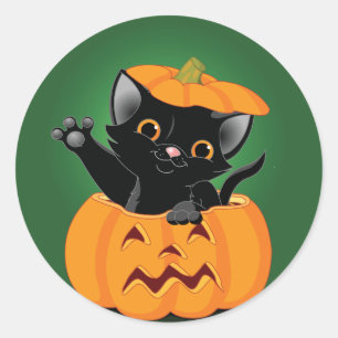 Chat noir dans des autocollants d'un citrouille