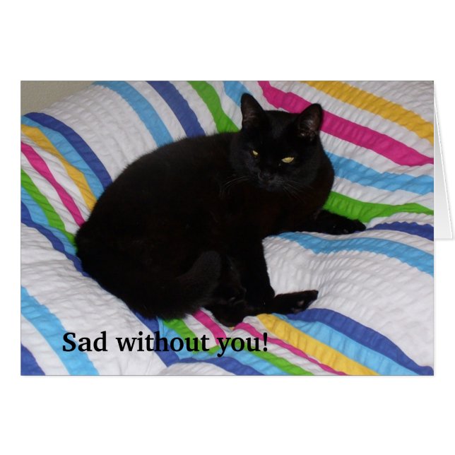 Chat noir dans le lit (Devant horizontal)