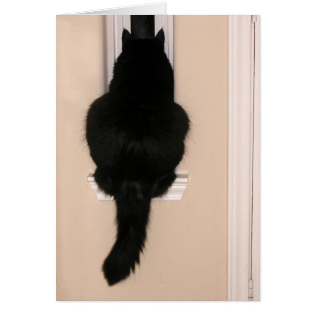 Chat noir dans une fenêtre mince (Devant)