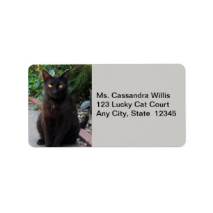 Chat noir en attente de Étiquettes de adresse
