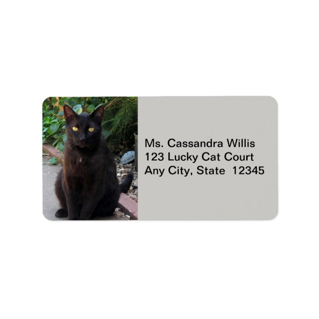 Chat noir en attente de Étiquettes de adresse (Devant)