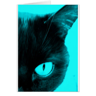 Chat noir en bleu