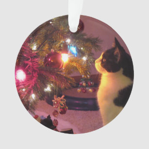 Chat noir et blanc avec l'ornement d'arbre de Noë
