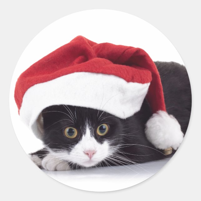 CHAT NOIR ET BLANC DANS Sticker À chapeau de Santa (Devant)