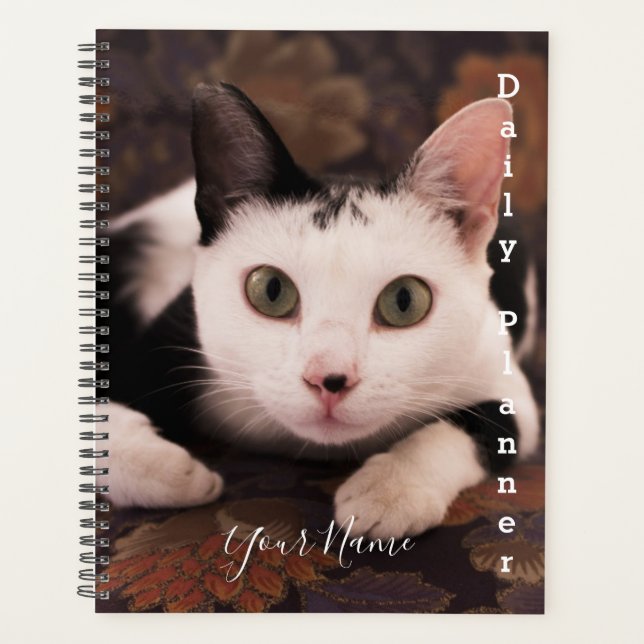 Chat noir et blanc - planificateur quotidien - HAM (Devant)