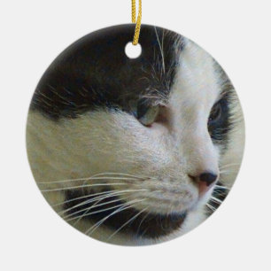 Chat noir et blanc sur ornement en céramique