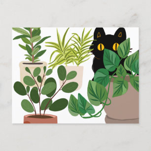 Chat noir et carte postale Plante