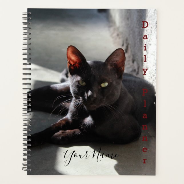 Chat noir - planificateur quotidien - HAMbWG (Devant)