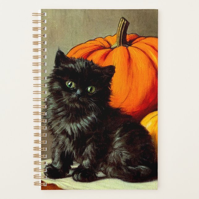 Chat noir vintage d'Halloween et Citrouilles (Devant)