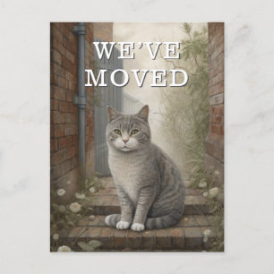Chat Nous Avons Déménagé Faire-part En Mouvement