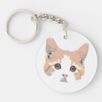 Chat Orange Et Blanc