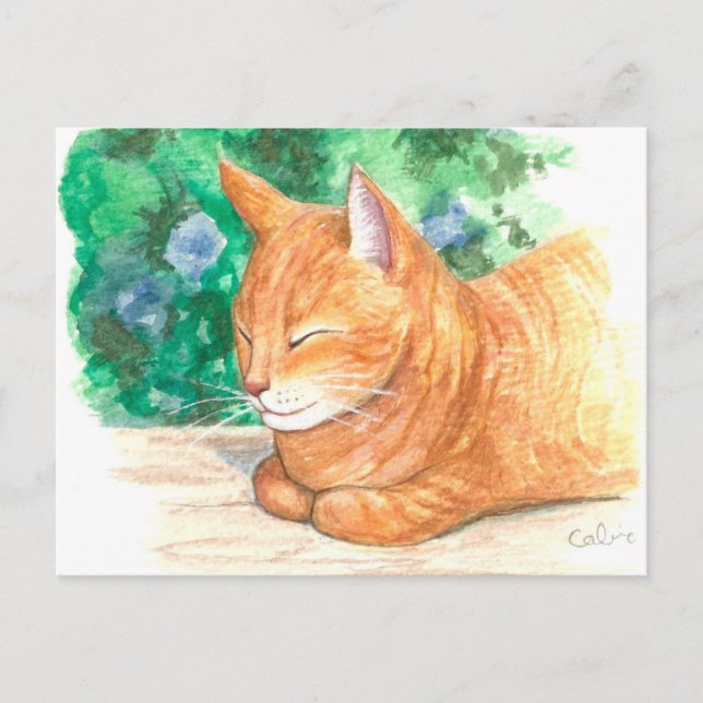 "Chat orange Relaxant." Carte postale (Devant)