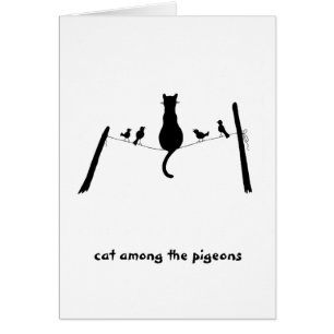 Chat parmi les pigeons