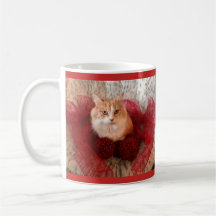 Chat pelucheux et tasse rouge de ruban