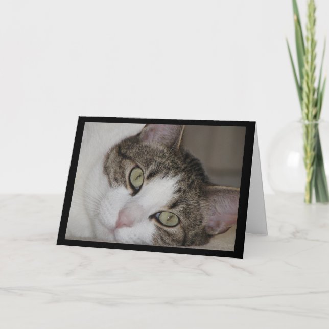 Chat pensif vous manquant carte de voeux (Devant)
