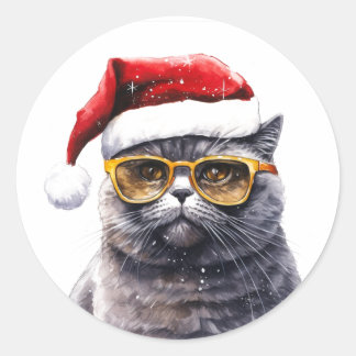 Chat père Noël Avec Stickers Lunettes De Soleil