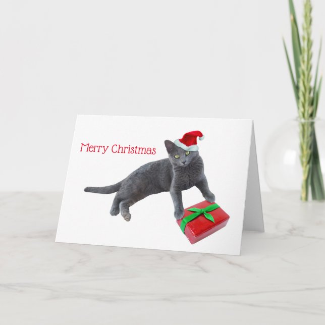 Chat Père Noël gris avec carte de Noël actuelle (Devant)