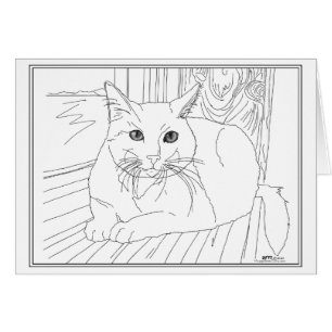 Chat précieux dans la fenêtre