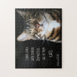 Chat Quote / Zen Cat Foto