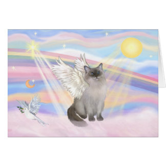 Chat Ragdoll (Blue Point) Ange - Nuages