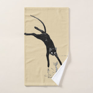 Chat Sauter dans l'étang, Alexandre Steinlen