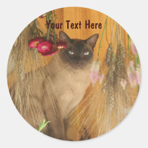 Chat Siamais Possédant Un Sticker De Photographie