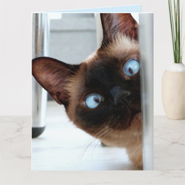 CHAT SIAMESE CUTE PEEKING IN HELLO CARTE DE voeux (Devant)
