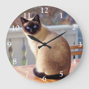 Chat siamois aux yeux bleus grande horloge