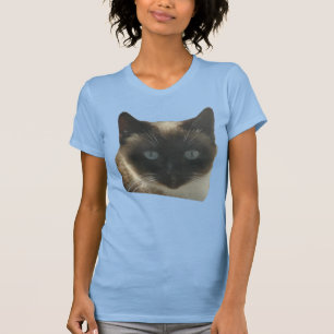 Chat siamois avec T-shirt aux yeux bleu vif